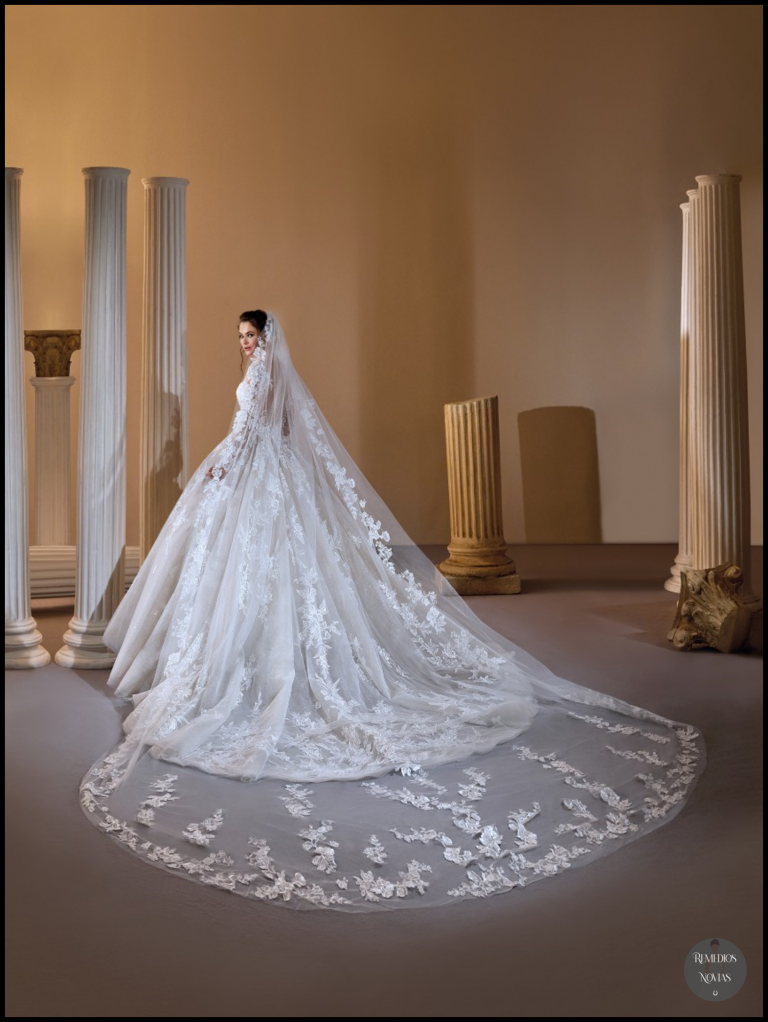 Vestido de novia 1158 Demetrios Nueva colección 2022 en Málaga Centro Remedios Novias con velo impresionante